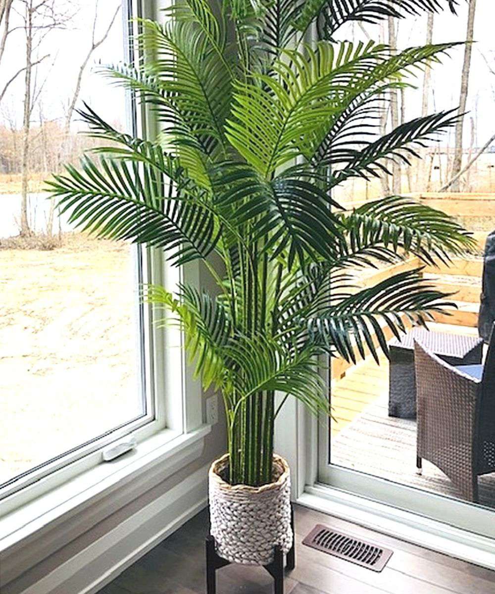 Arlo Artificial Hawaii Kwai Palm Tree Potted Plant (Multiple Sizes) 