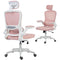 Ergonomic Mesh Office Chair, High Back Desk Chair with Rotatable Headrest, Flip-Up Armrests, Lumbar Support, Pink