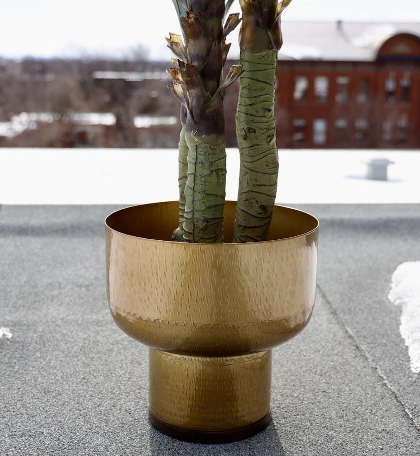 Hana - Brass Mid-Century Mushroom Planter (Multiple Sizes) 