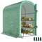 Walk-in Mini Greenhouse with Shelves, Portable Outdoor Greenhouse with Roll-up Door, 123 x 187 x 189 cm, Green
