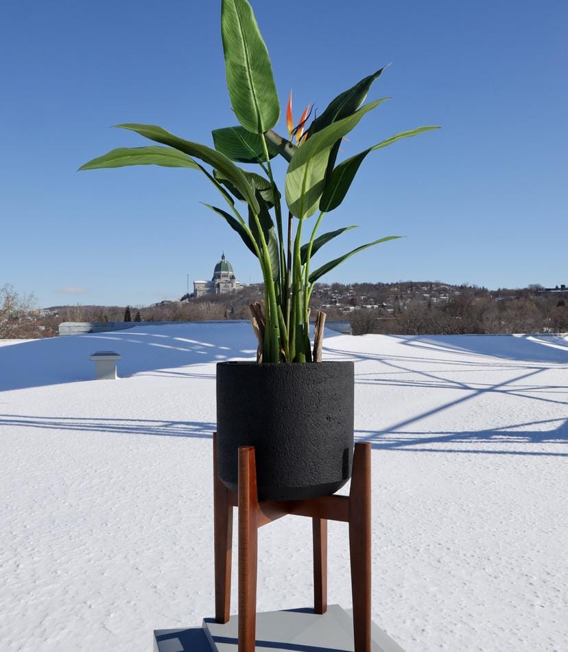 Neri Black Mid- Century Cement Planter With Wooden Stand 