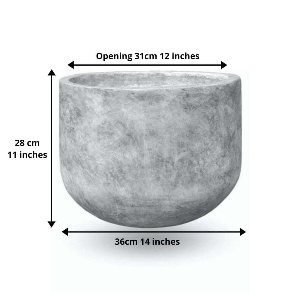 Berto Cement Planter 15'' 