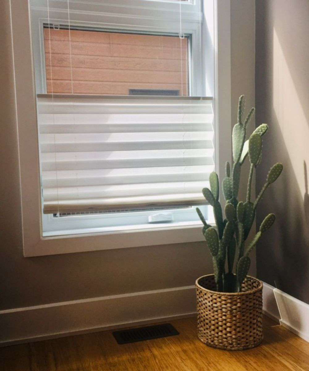 Solo Artificial Cactus Potted Plant 41'' 