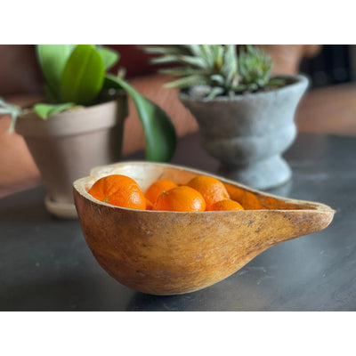 Vintage Gourd Water Ladle, Dia 9.5-12 in 
