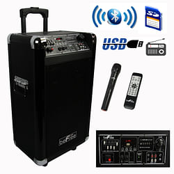beFree Sound Sleek 10 Inch Professional Portable Bluetooth PA Speaker - Free Shipping 