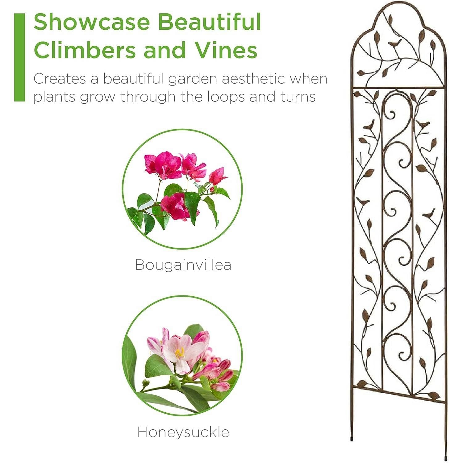 60-inch Tall Outdoor Iron Garden Trellis in Bronze Metal Finish - Free Shipping