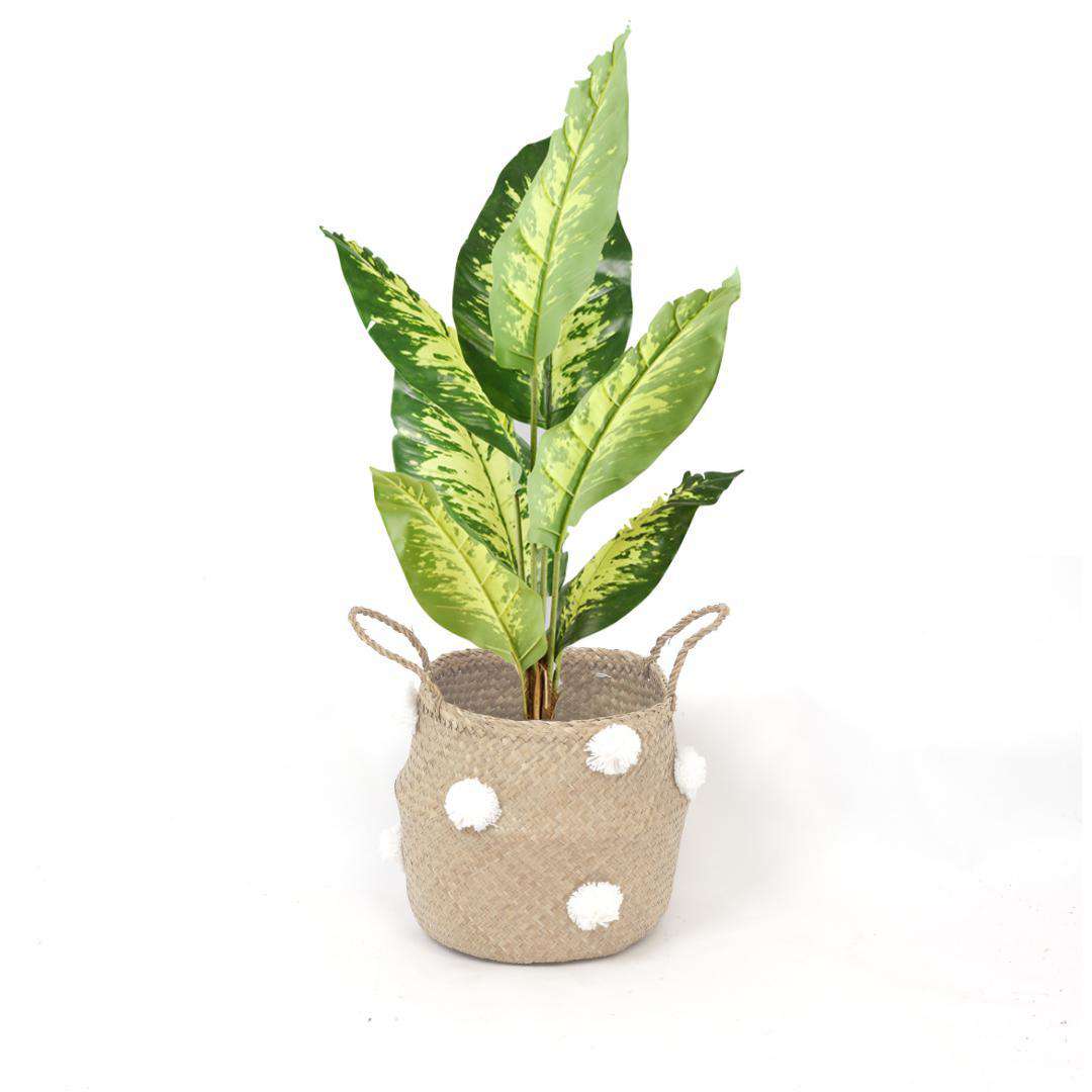 Bomba - Seagrass Basket With White Pompoms 