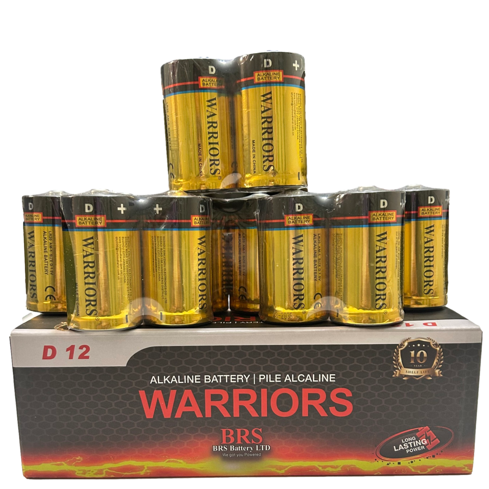BRS D Alkaline Batteries — 12‑Pack (BRSLR20D)