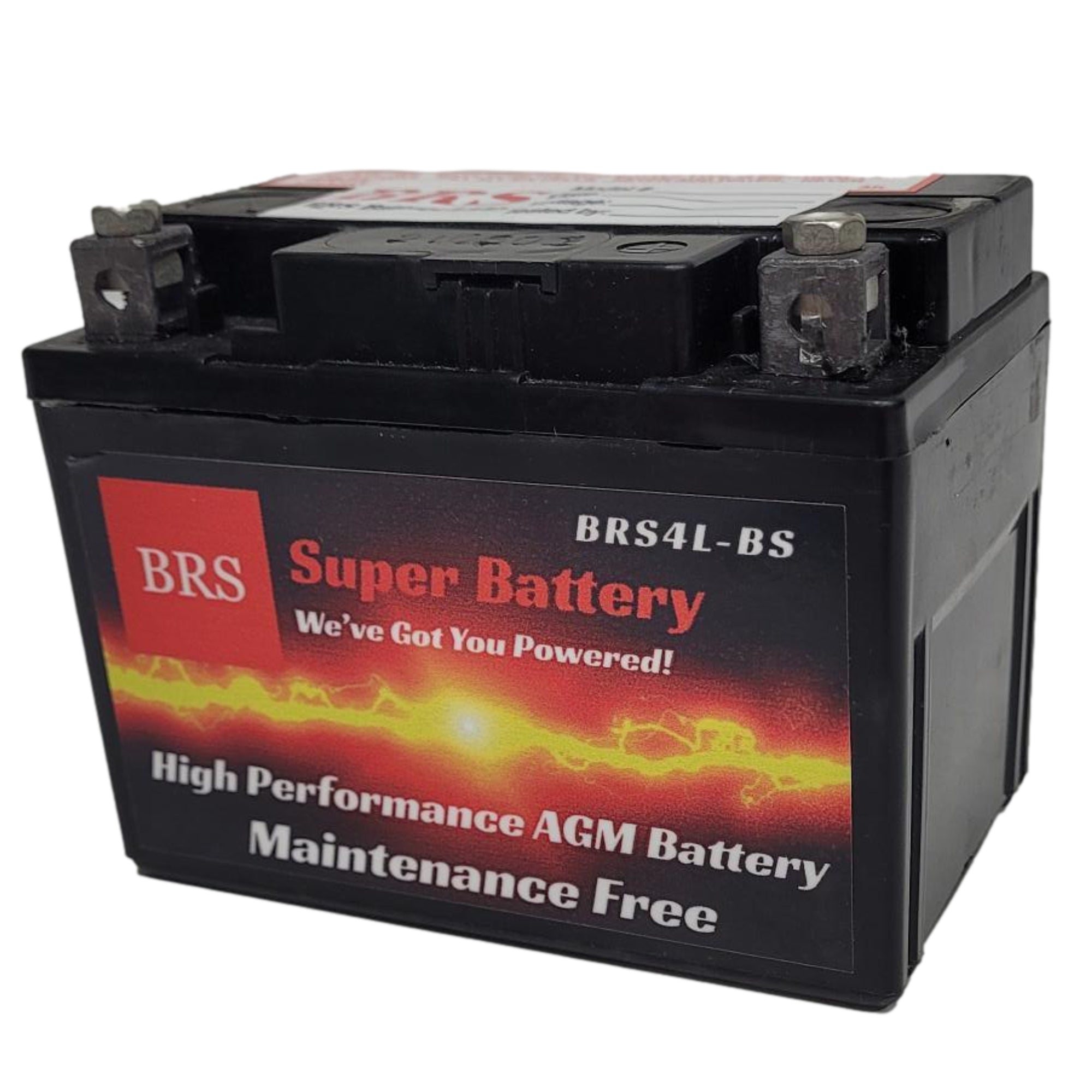 BRS4L-BS 30 Day Warranty Battery & Smart Charger / Maintainer Combo Bundle Kit
