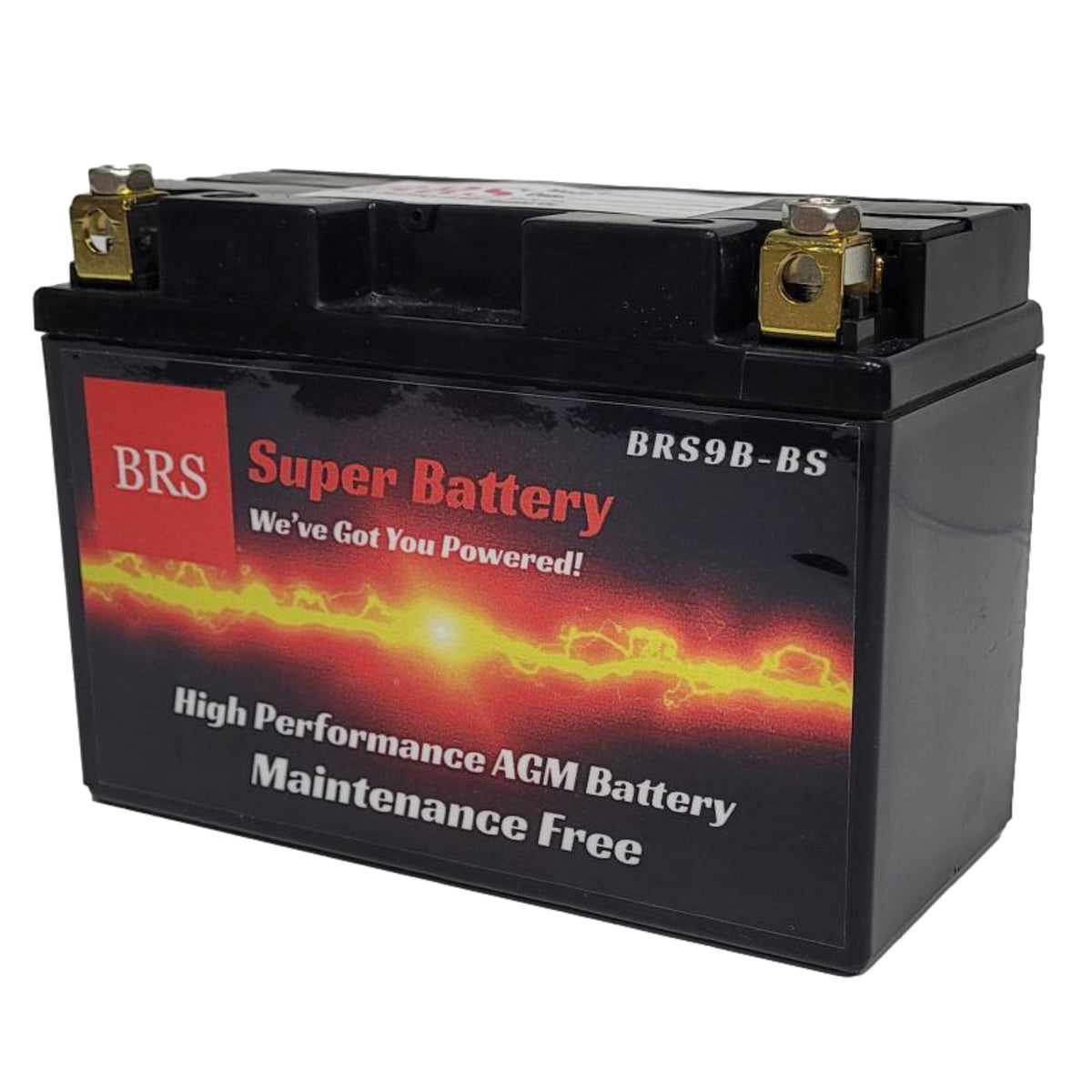 BRS9B-BS 12v 9AH 140CCA 30 Day Warranty