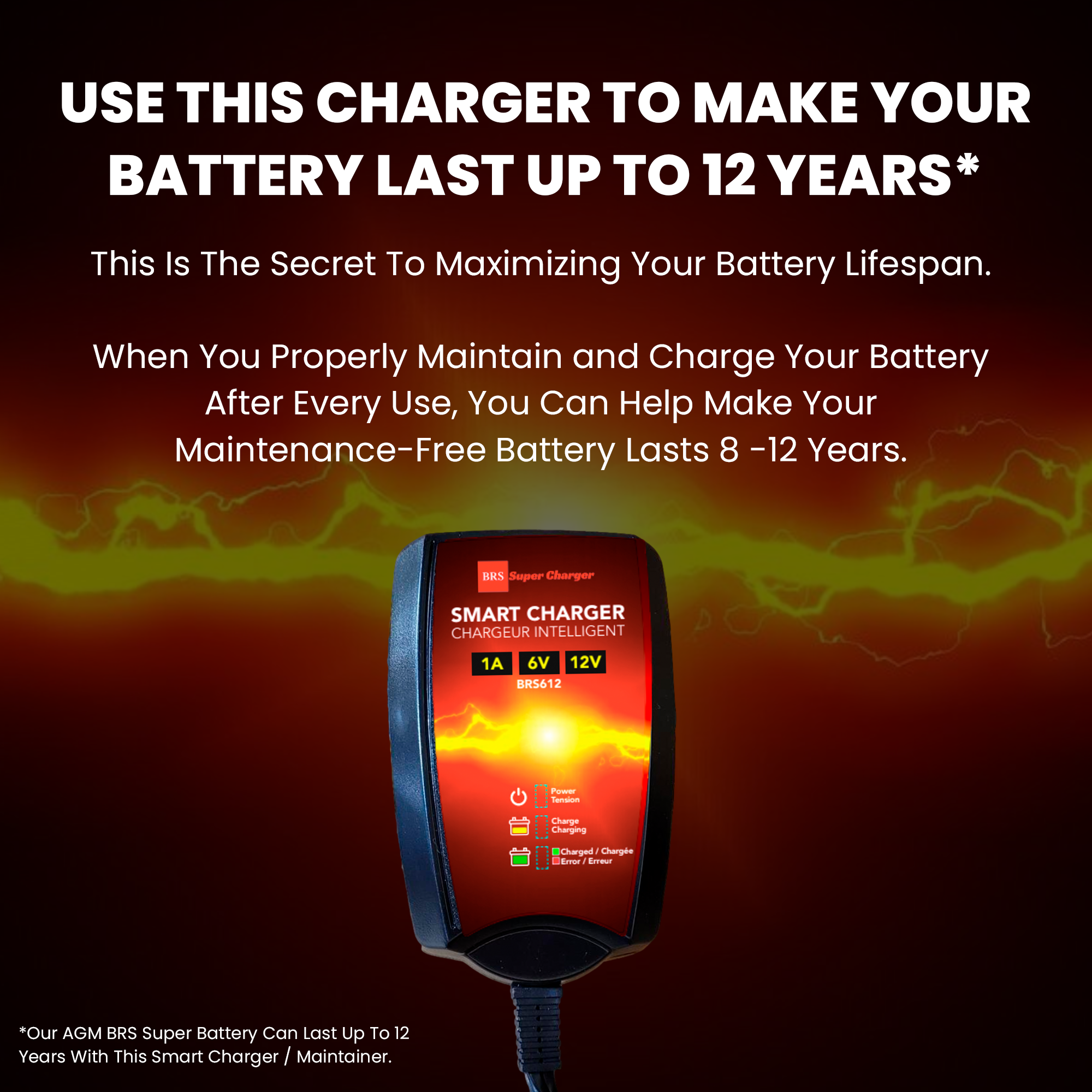 BRS Super Charger BRS612 - 6V/12V Trickle Charger - Battery Maintainer & Rejuvenator