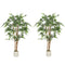 5FT Artificial Banyan Tree Set of 2, Fake Potted Tree with Solid Wood Trunk and Pot for Indoor