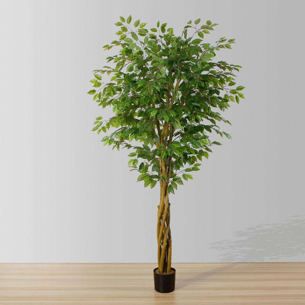 Bea Artificial Ficus Potted Plant 6.5’ 