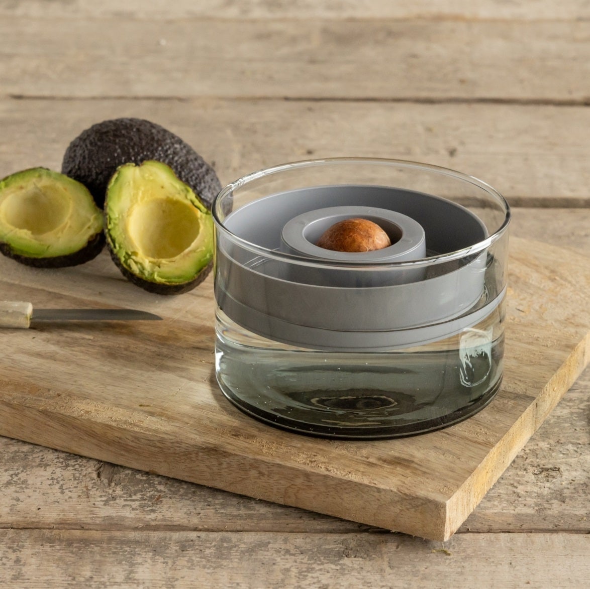 Avocado Grow Set 