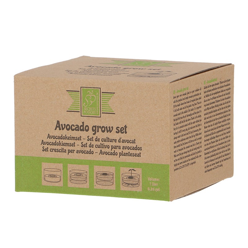 Avocado Grow Set 