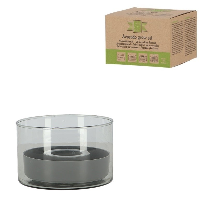 Avocado Grow Set 