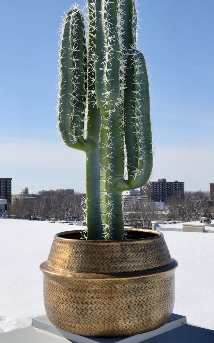 Aleta - Rattan Brass Finish Planter 