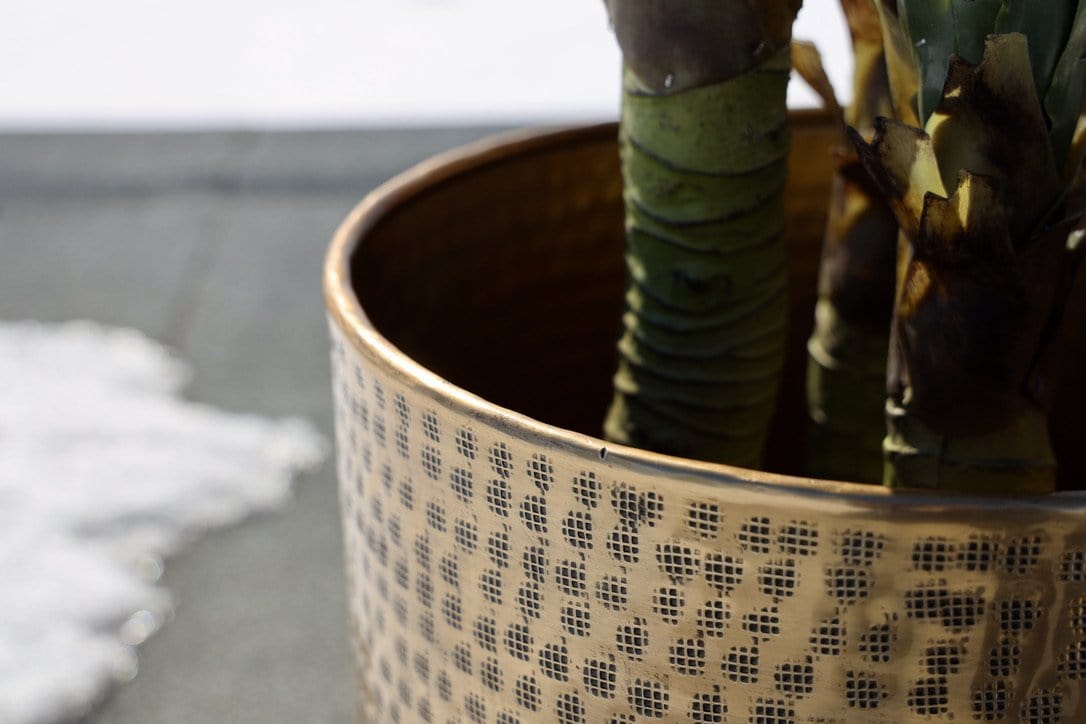 Bertooo - Brass Mid-Century Planter 