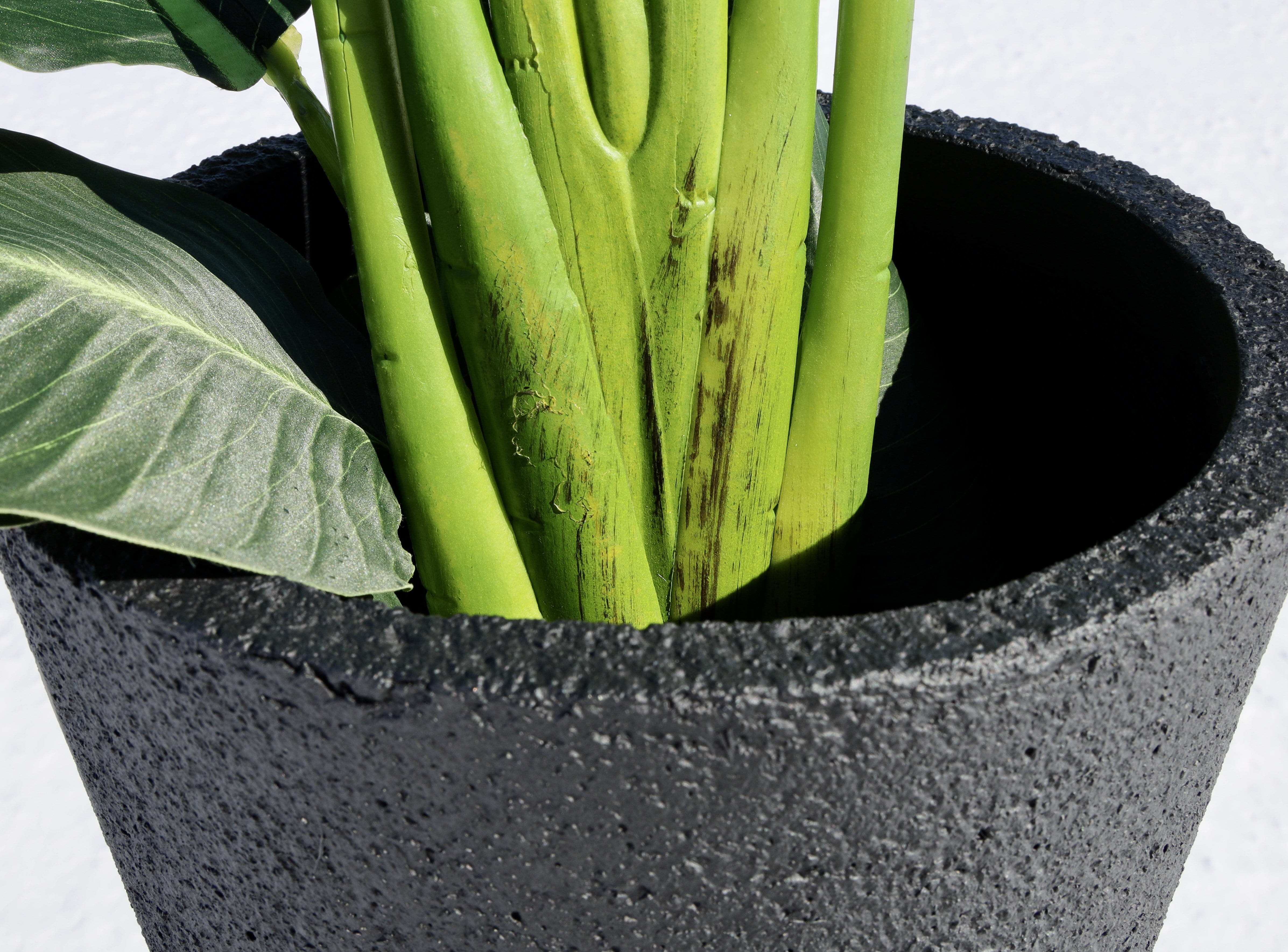 Vaneto Black Cement Planter (Multiple Sizes) 