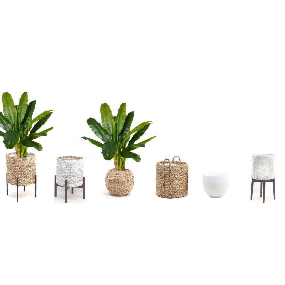 Cali Artificial Banana Tree Potted Plant 43" 