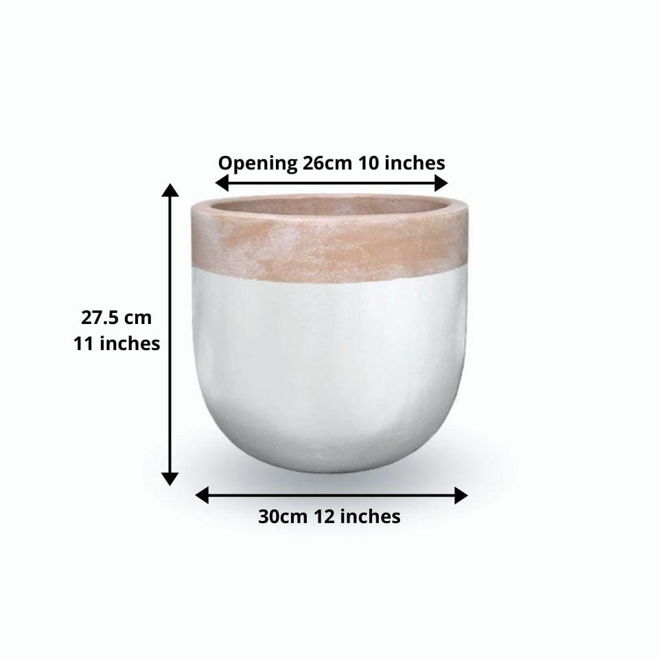 Camilo Glazed Planter 12'' 