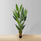 Cana Artificial Canna Potted Plant (Multiple Sizes) | Lifelike Faux Canna Plant with Realistic Sky-Reaching Foliage