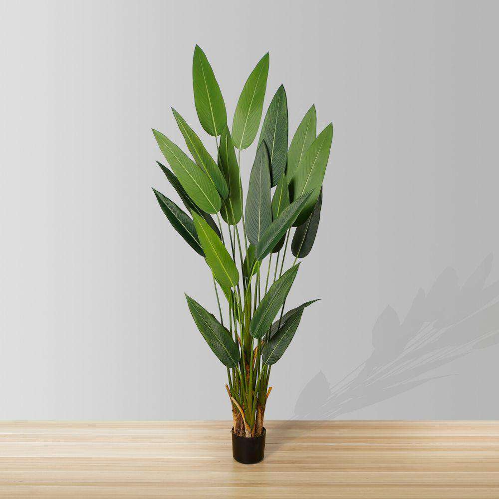 Cana Artificial Canna Potted Plant (Multiple Sizes) 