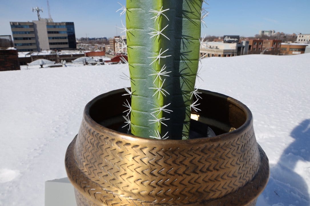 Aleta - Rattan Brass Finish Planter 