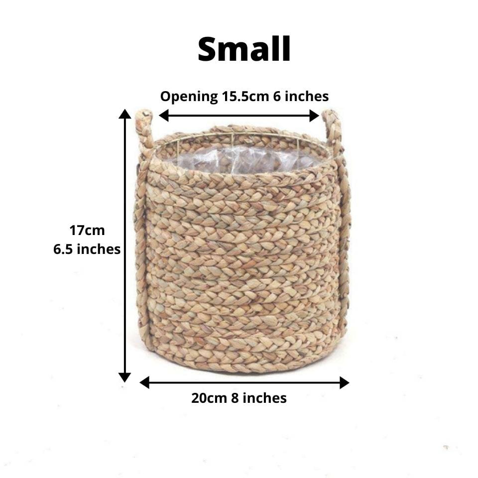 Cece - Water Hyacinth Planter 