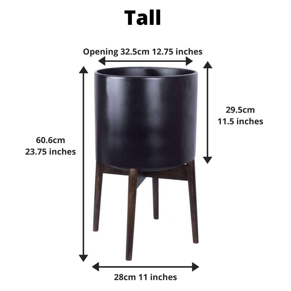 Ceza - Brass Modern Plant Stand With Black Planter 