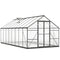 Polycarbonate Greenhouse, Walk-in Green House with Two Top Windows, Rain Gutter and Swing Door, 8' x 16' x 7', Dark Grey