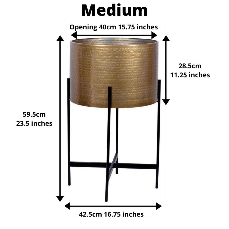 Chava - Brass Mid-Century Planter With Black Stand (Multiple Sizes) 