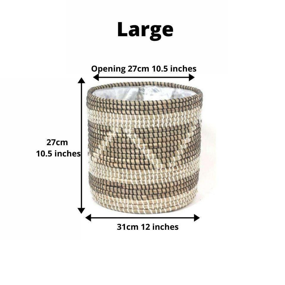 Cobra - Seagrass Planter 