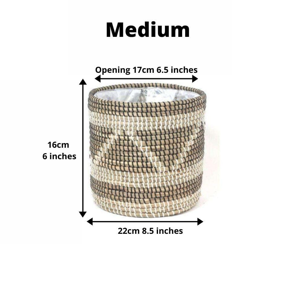Cobra - Seagrass Planter 