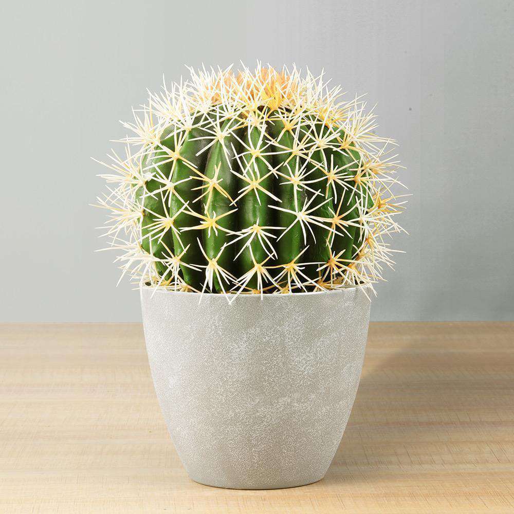 Coco Artificial Cactus Potted Plant 11" 
