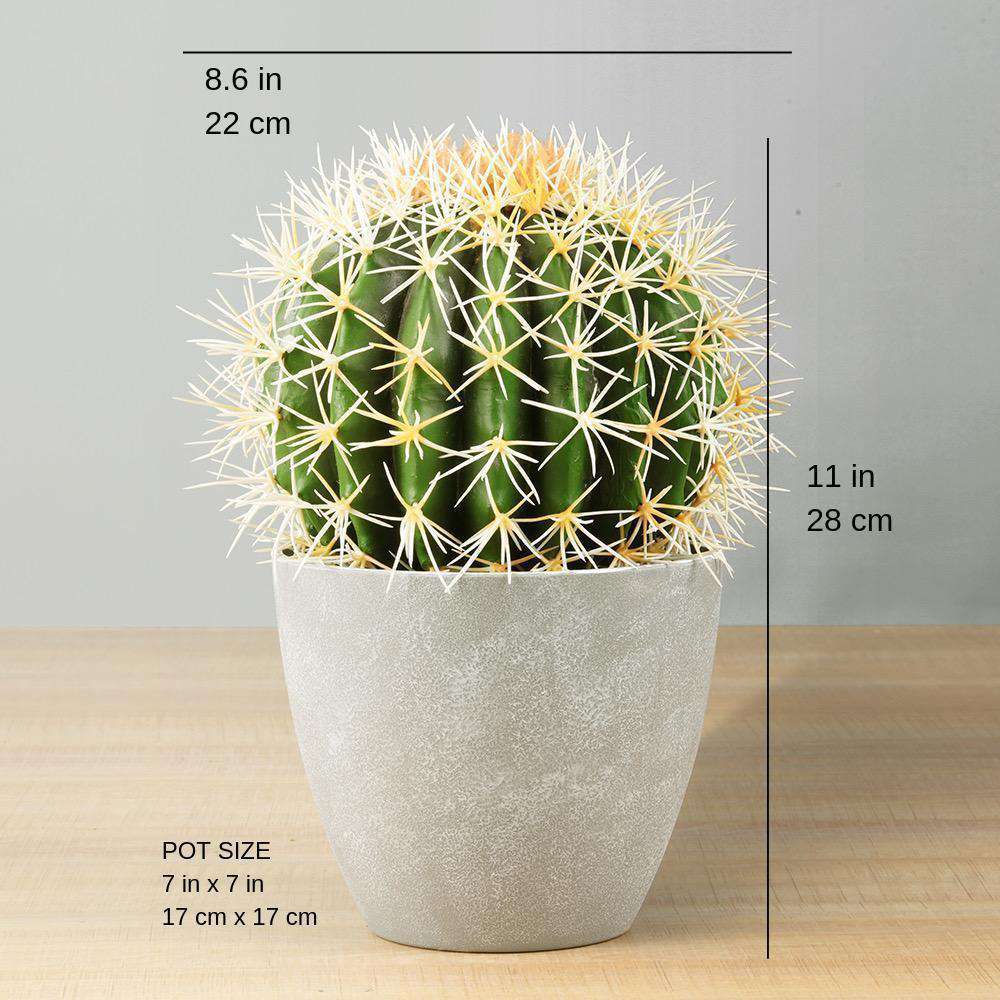 Coco Artificial Cactus Potted Plant 11" 