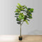 Cora Artificial Fiddle Leaf Potted Plant 5.5' – Realistic Indoor/Outdoor Faux Tree with Lush Leaves, Maintenance-Free, Perfect for Home & Office