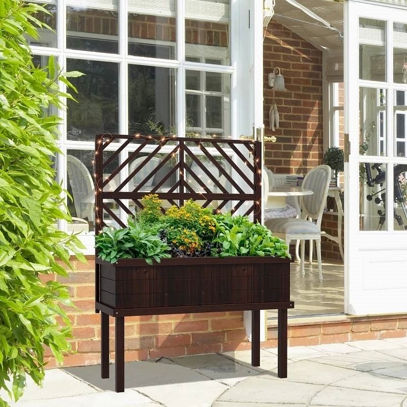 Espresso Fir Wood Elevated Raised Garden Bed With Stylish Climbing Trellis - Free Shipping 