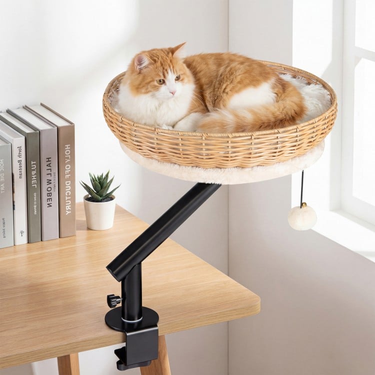 Cat Desk Bed with Removable Padded Cushion for Indoor Cats-Natural