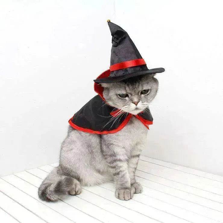 Cross border Halloween Pet Cloak Saint costume 