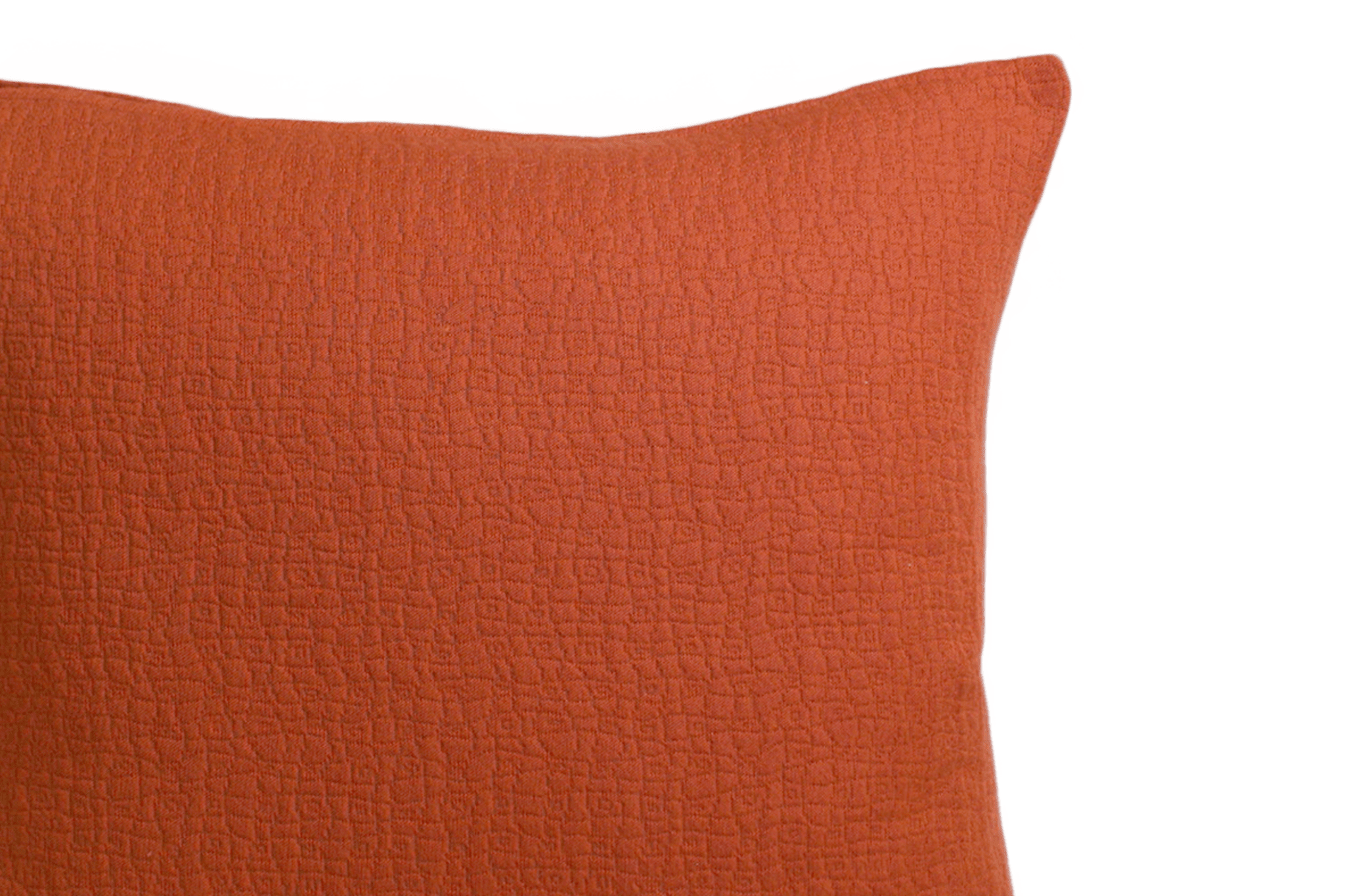 Cinnamon Cushion Cover 