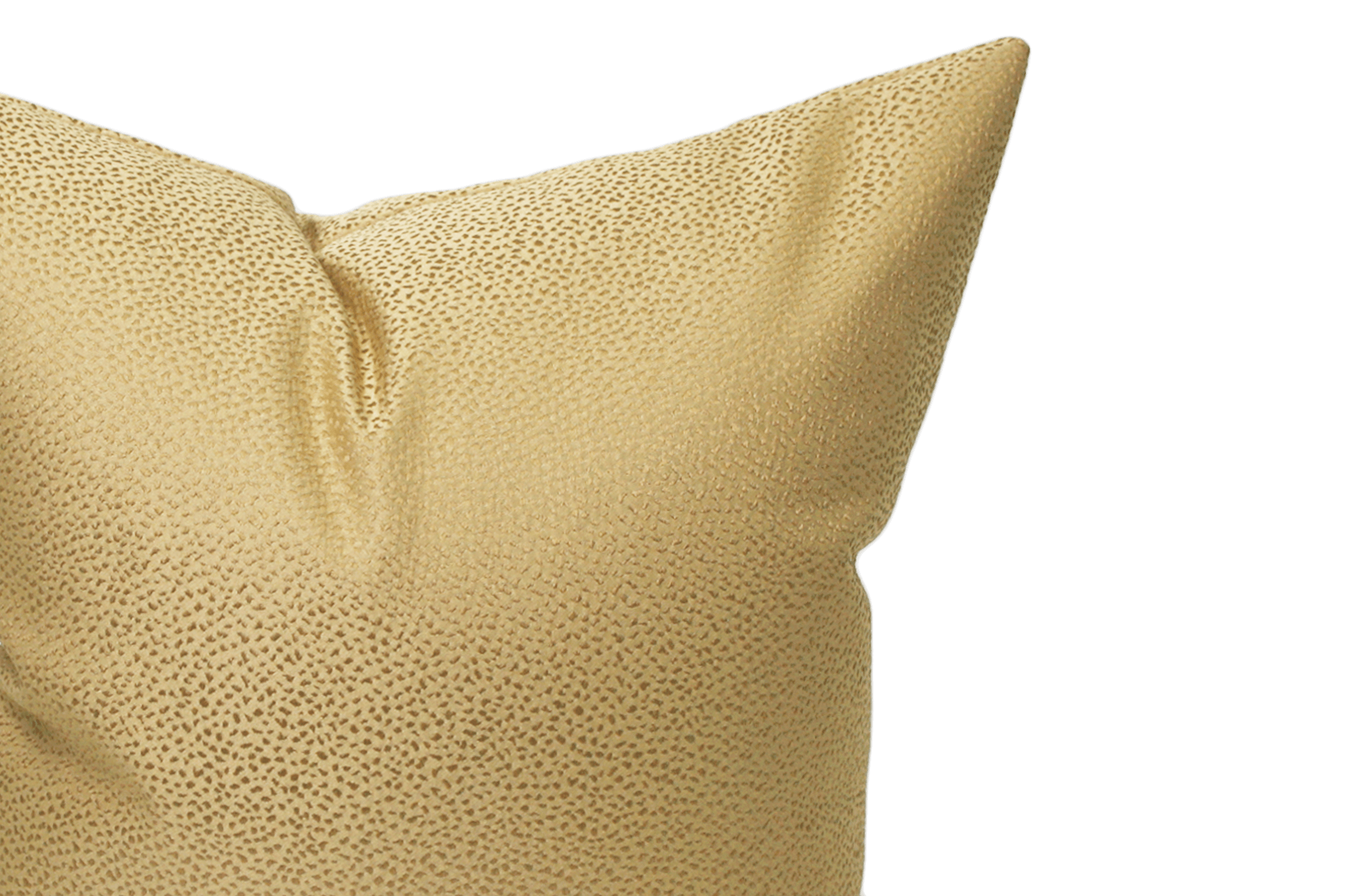 Gold Cushion Cover 