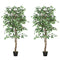 5.3 FT Artificial Tree, Indoor Fake Ficus with Pot, for Home Office Living Room Decor