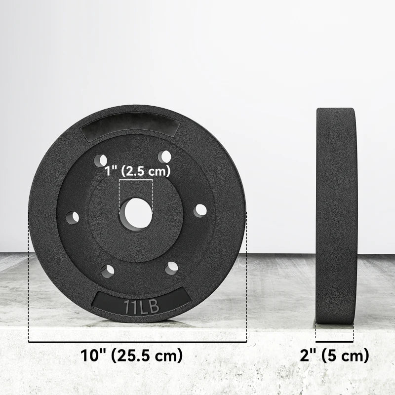 Soozier Weight Plates Set of 4, 1-Inch Barbell Weight Set for Home Gym Strength Training and Weightlifting, 4 x 11 lbs