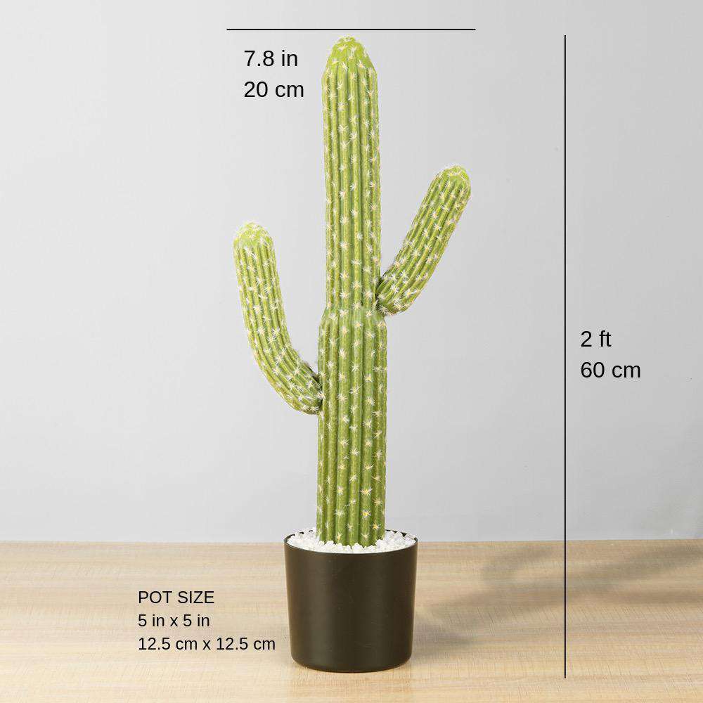 Dado Artificial Cactus Potted Plant 2' 