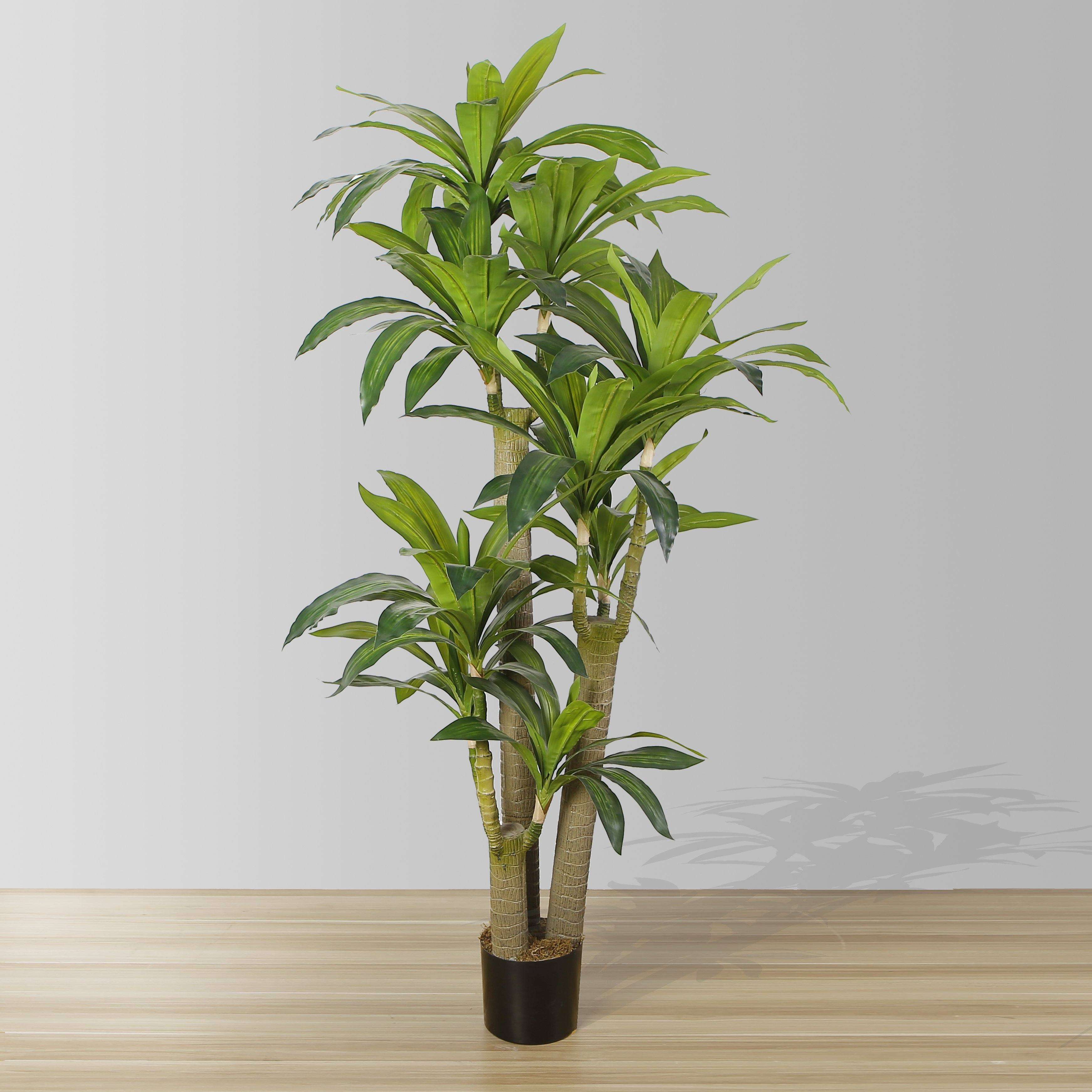 Dana Artificial Draecena Tree Potted Plant (Multiple Sizes) 