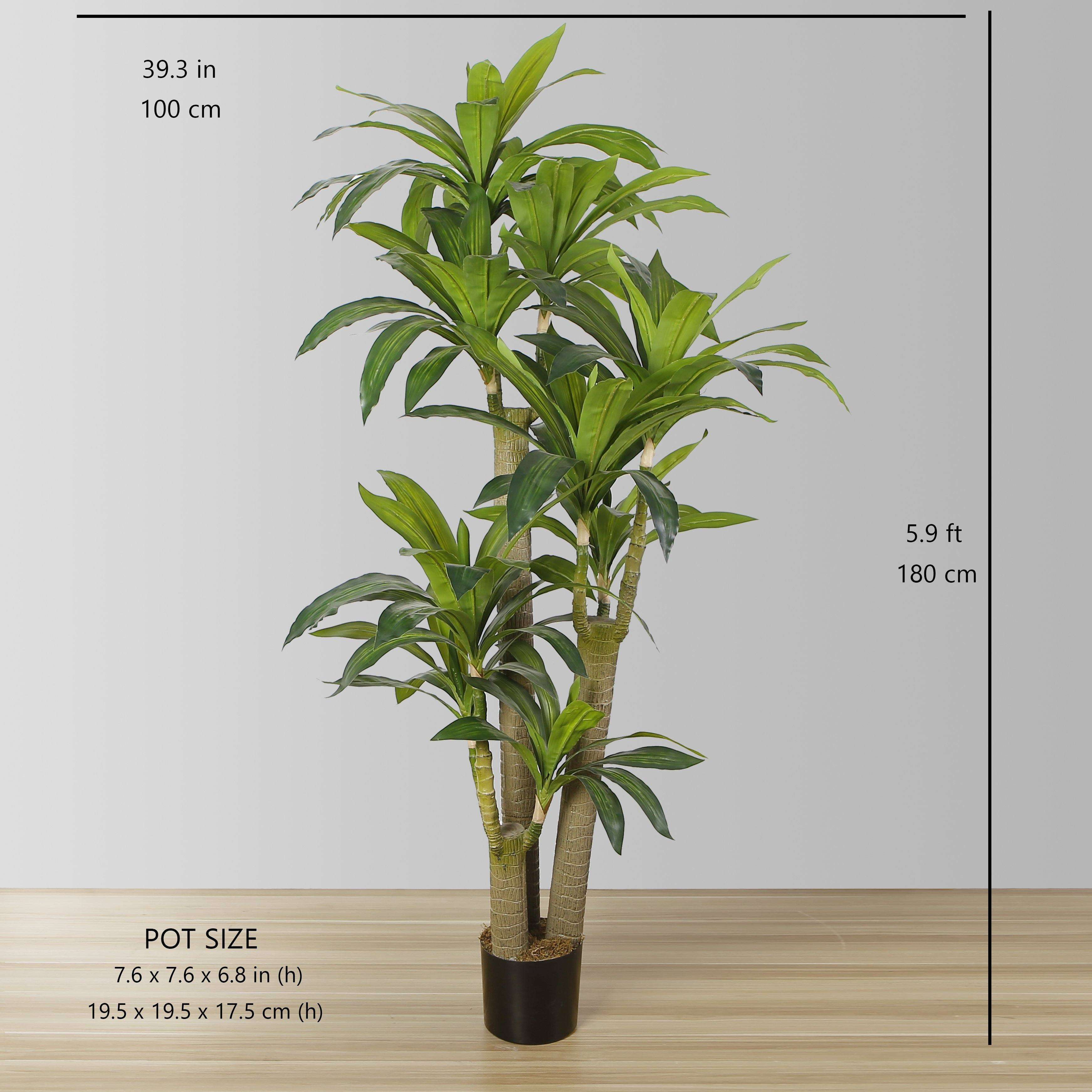 Dana Artificial Draecena Tree Potted Plant (Multiple Sizes) 