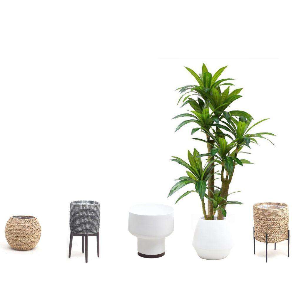 Dana Artificial Draecena Tree Potted Plant (Multiple Sizes) 