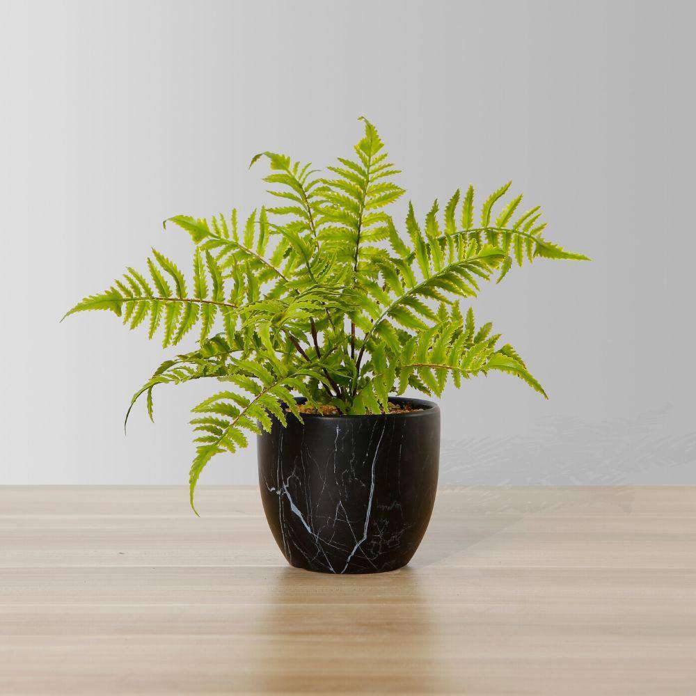 Dasa Potted Faux Fern 