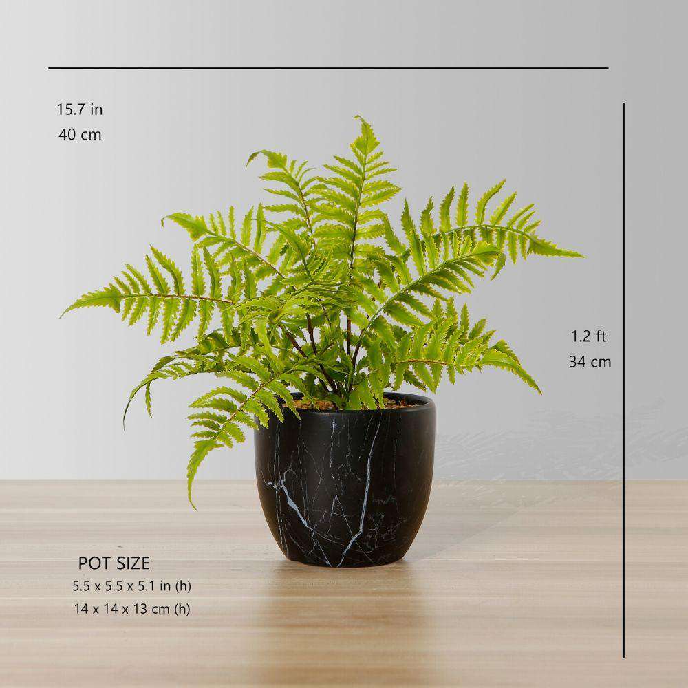 Dasa Potted Faux Fern 
